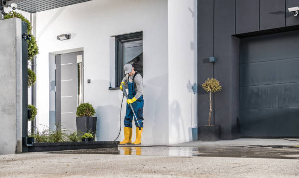 Best Dumpster Area Cleaning  in Seminole, FL